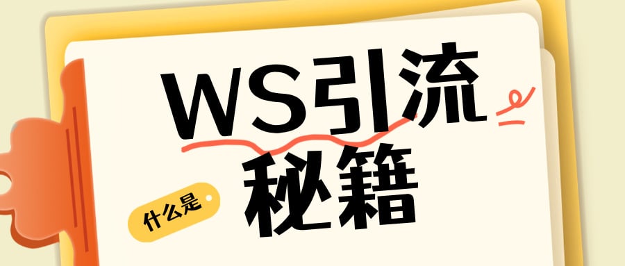 从0到千万的WS引流秘籍：2025年必学的3大增长策略