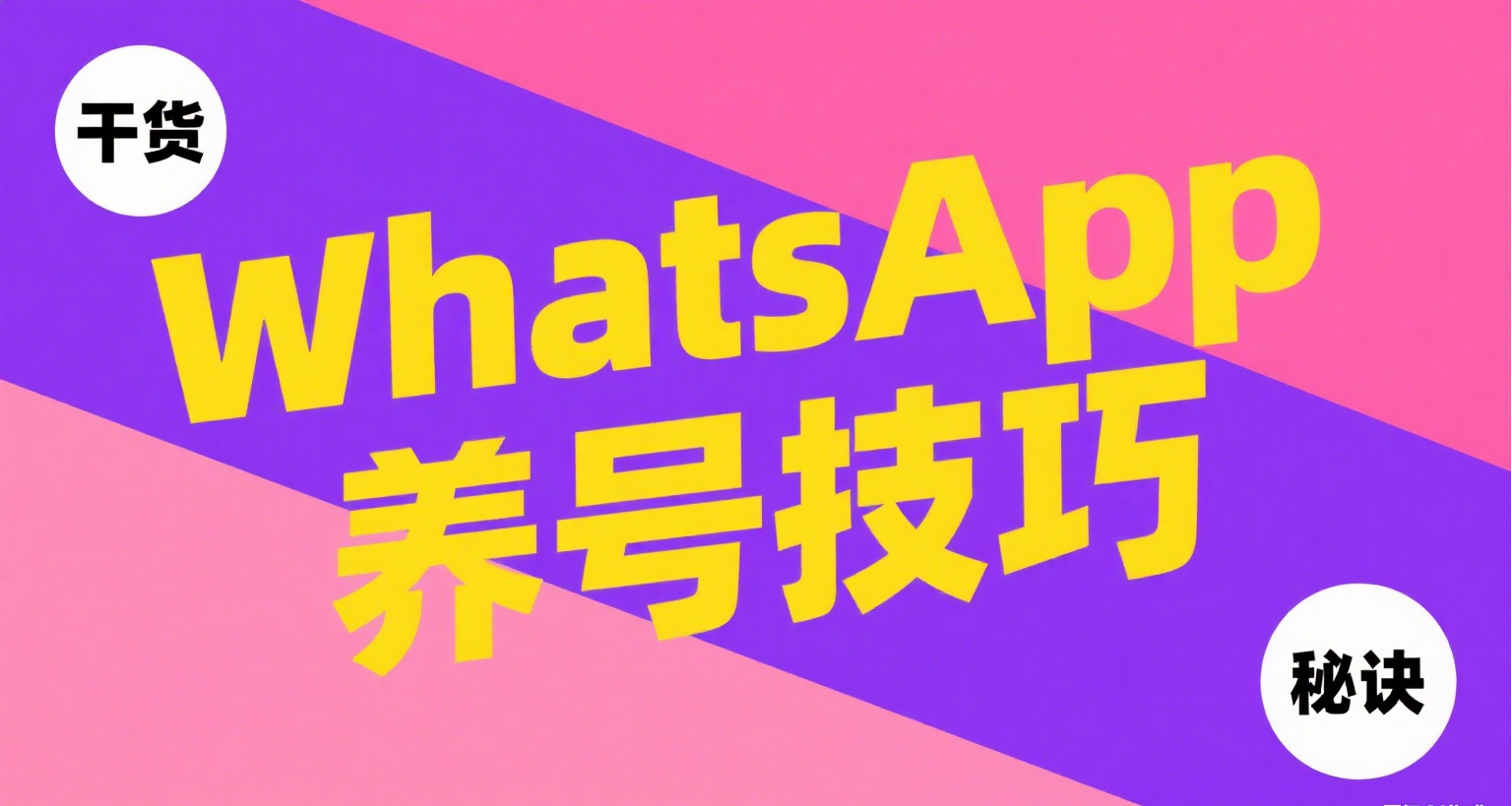 WhatsApp养号难?iMX教你用这4招,轻松绕过风控